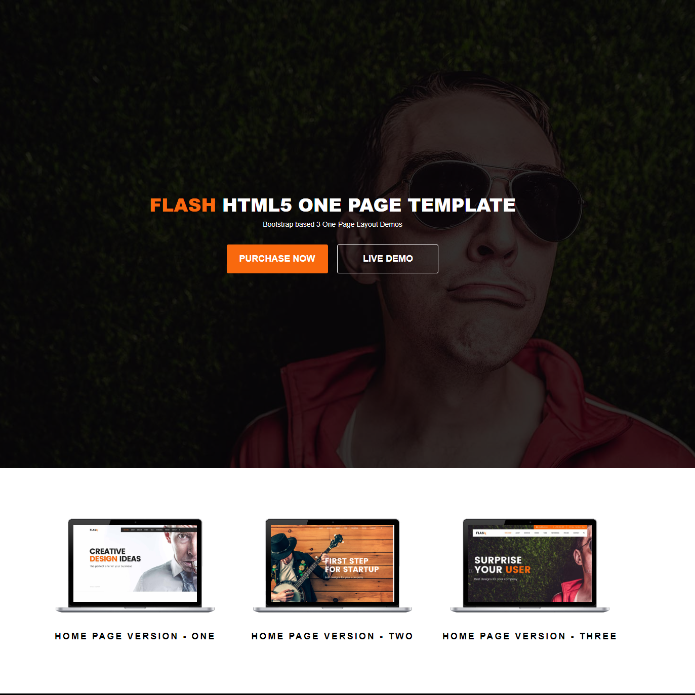 High Quality Full Site Templates Flash Version