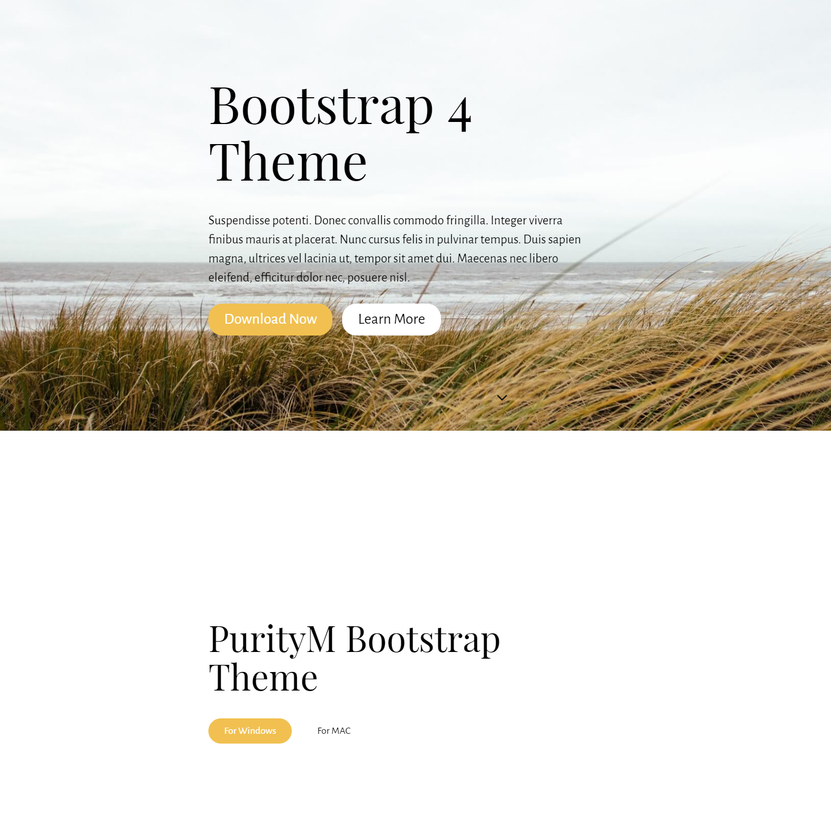 CSS3 Bootstrap 4 Templates