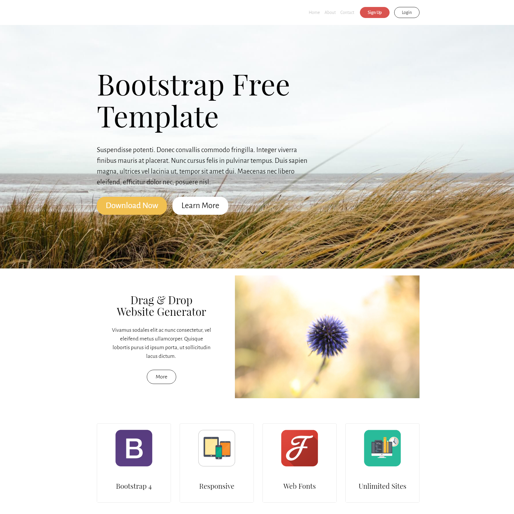 Download Bootstrap Free Templates