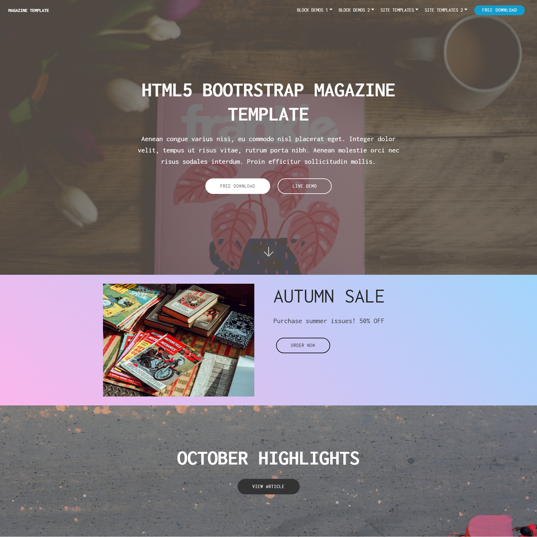 Responsive Bootstrap Magazine Templates