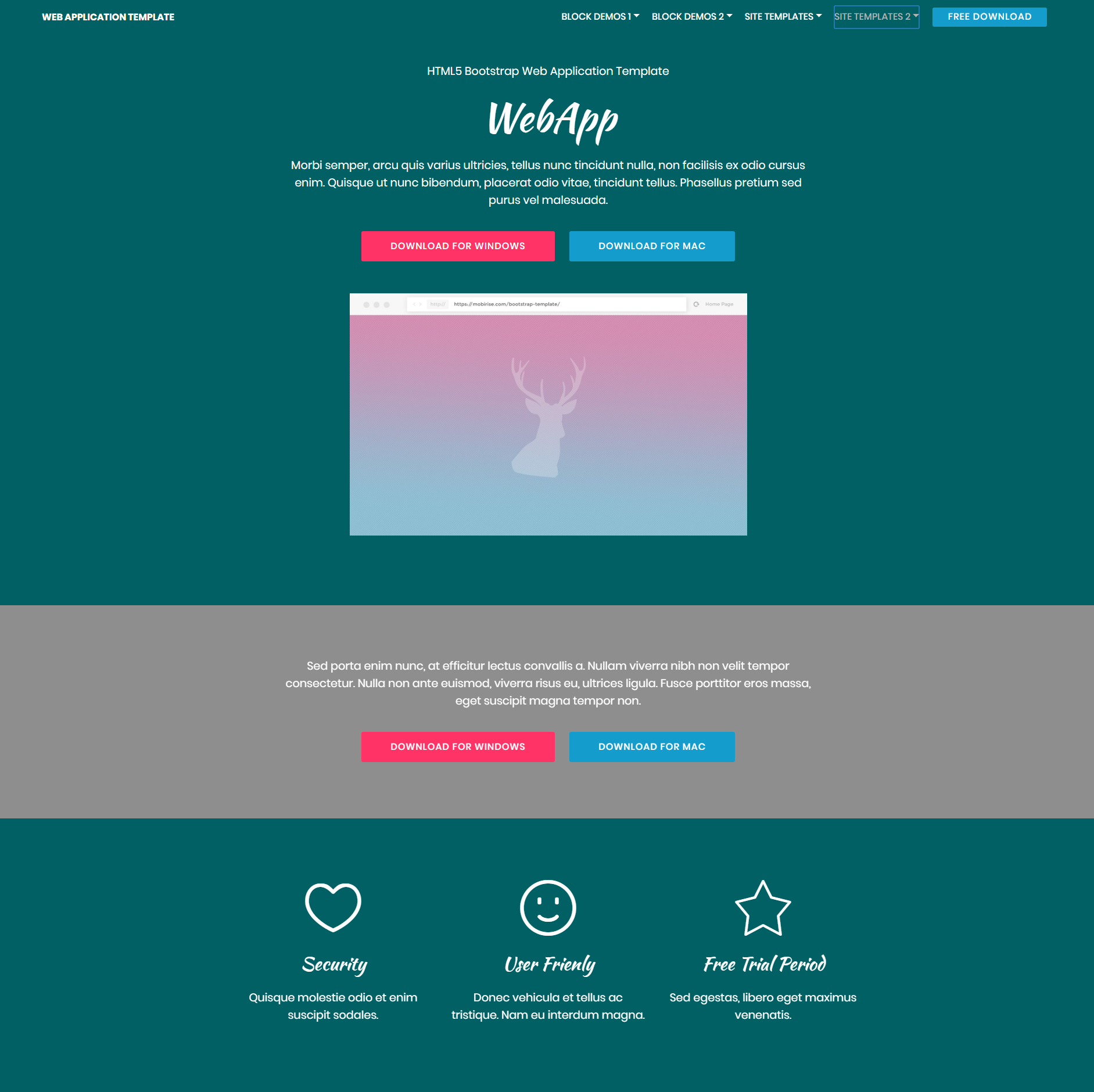 HTML5 Bootstrap Web application Templates