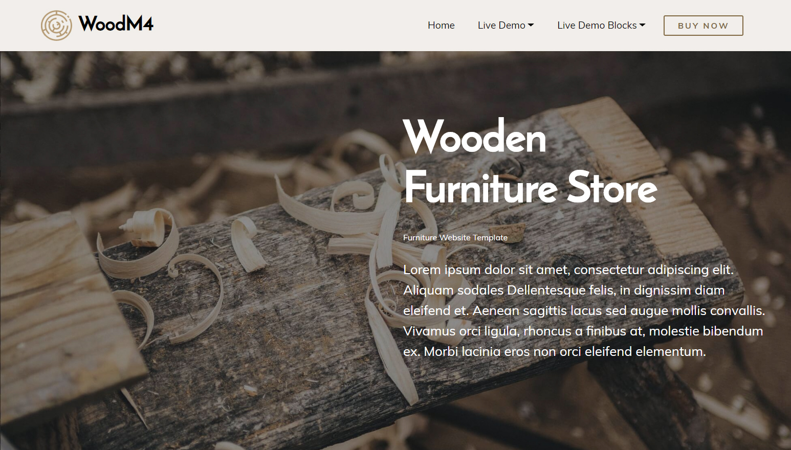 Bootstrap Furniture Website Template