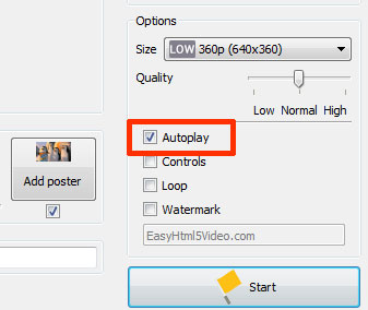 Set the Autoplay option to make your video playing instantly after opening your site