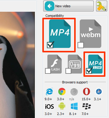 Choose Mp4 and Mp4 low video formats in EasyHTML5Video application to convert your video to Mp4